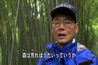 写真:【映像1】伏見川と森のつながり2