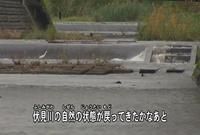写真:【映像2】伏見川の魚と金沢の人たちの暮らし2