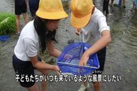 写真:【映像3】伏見川の昔と今2