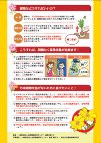 キレイでもダメ!オオキンケイギクは駆除して下さい! チラシ裏面