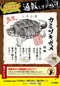特定外来生物カミツキガメを見つけたら通報して下さい!