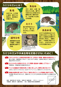 特定外来生物カミツキガメを見つけたら通報して下さい!