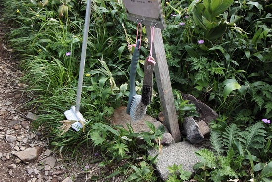 山に現れたブラシ