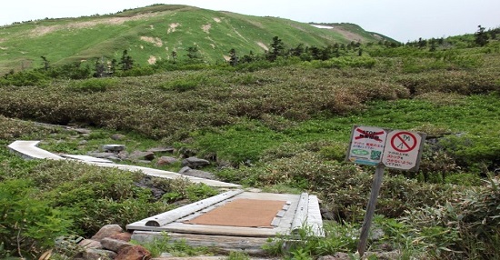 南竜ヶ馬場の種子除去マット