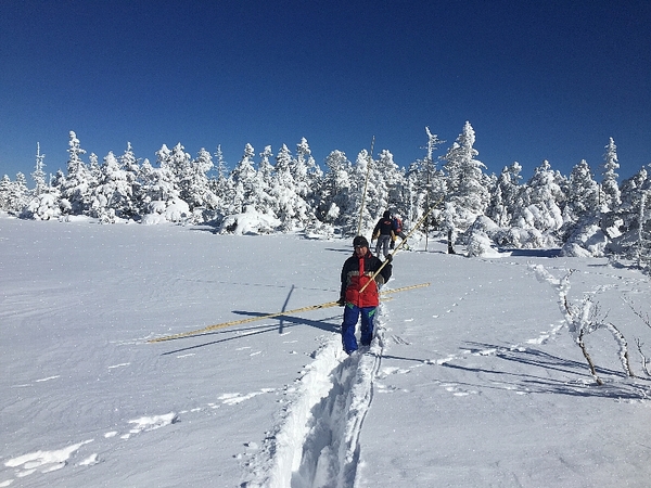 作業の様子。長い竹の棒を雪面に刺していく。
