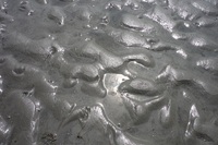 ウェーブリップル1