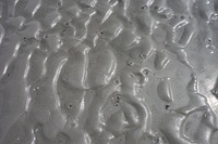 ウェーブリップル2