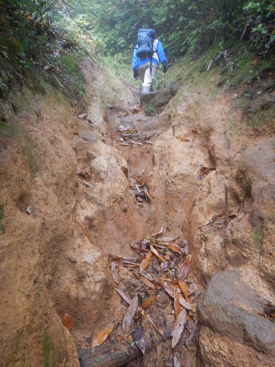登山道整備前の様子。歩きづらい。