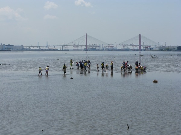 藤前干潟の風景