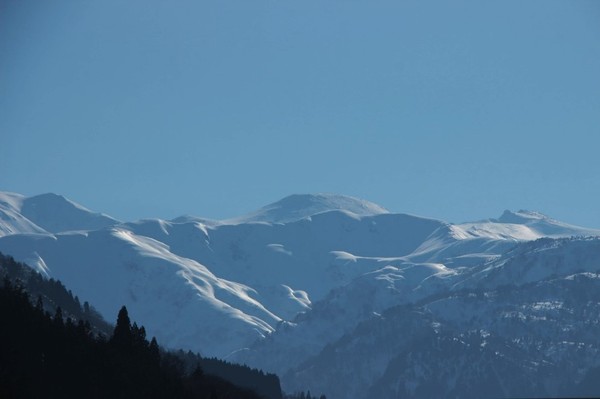 出勤初日の白山