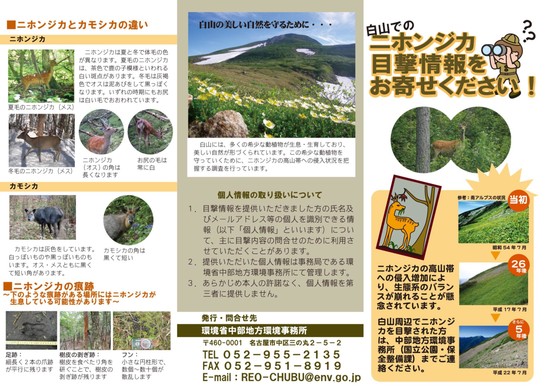 チラシ「白山でのニホンジカ目撃情報をお寄せください！」