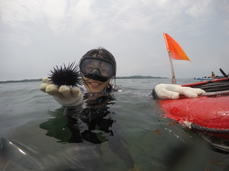 海女漁体験 ウニ