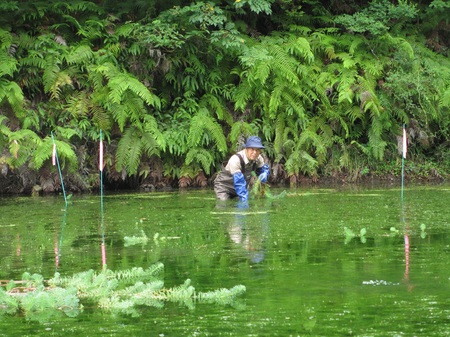 横山 パークボランティア