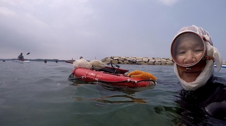 海女 海女漁体験 志摩 ama Shima