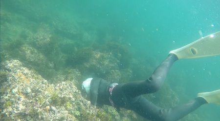 海女 海女漁体験 志摩 ama Shima