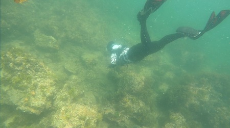 海女 海女漁体験 志摩 ama Shima