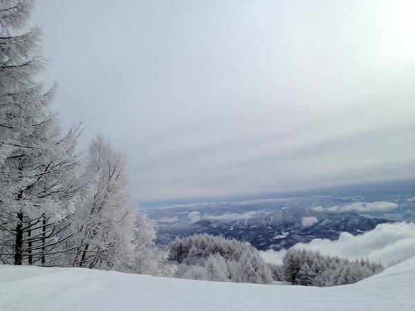 霧氷の木々と斑尾山
