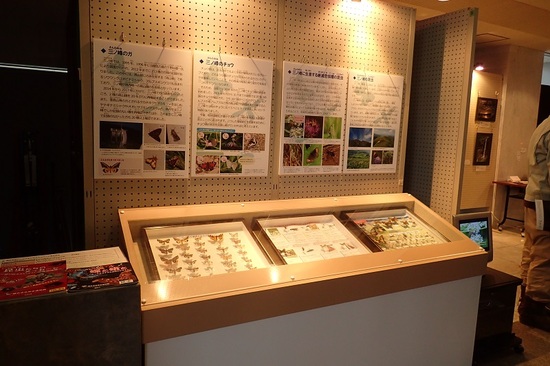三ノ峰の昆虫の展示コーナー