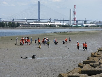 2017年　干潟観察会の様子