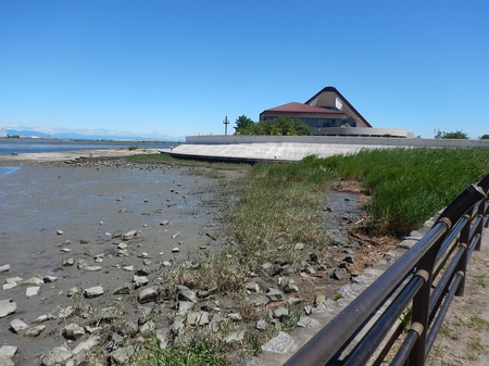 調査を実施している干潟