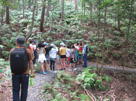 横山英語ガイド Yokoyama English Guided Walk