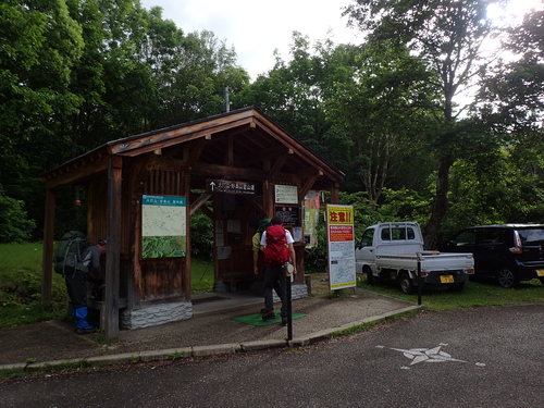 登山道沿いにオオハンゴンソウがないかを確認