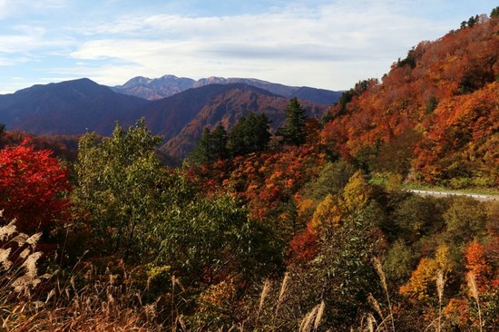 白山白川郷ホワイトロードからの白山