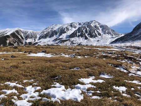 植生や立山の山肌