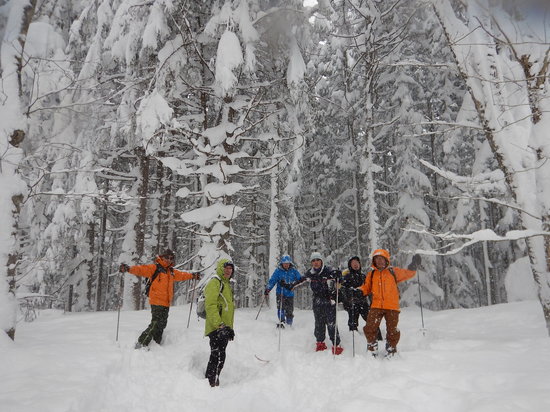 ガイドをしてくれるパークボランティアさん