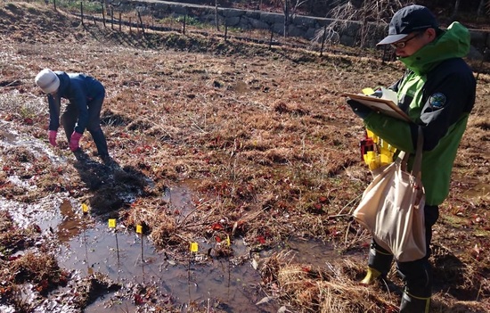 アカガエル モニ1000 産卵調査