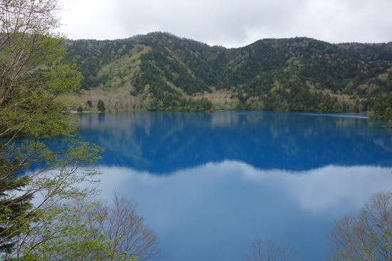 大蛇神社に関係のある大沼池の写真