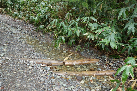池めぐりコースの工事区間の一部