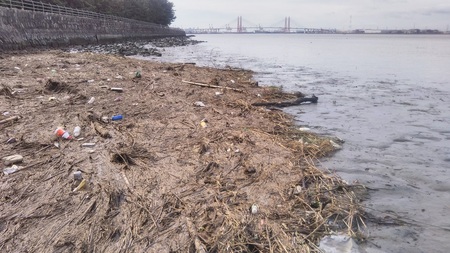 藤前干潟クリーン大作戦　野跡会場