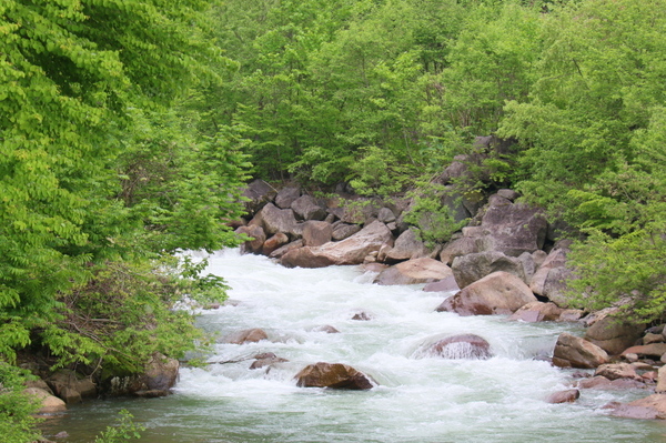 川沿いの歩道を歩きます
