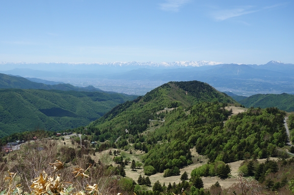 山田牧場から北アルプスを望む