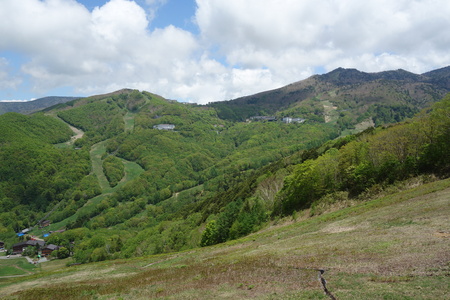 事務所から東館山を望む