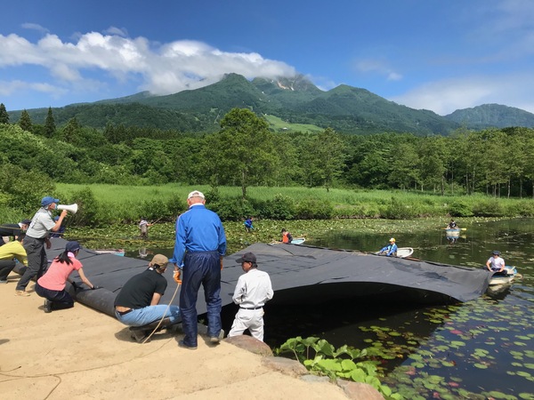いもり池のシート設置の様子2