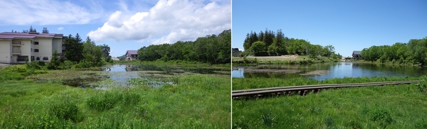 蓮池ひろば整備予定地