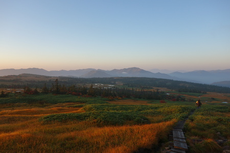 苗場山の山頂部の湿原