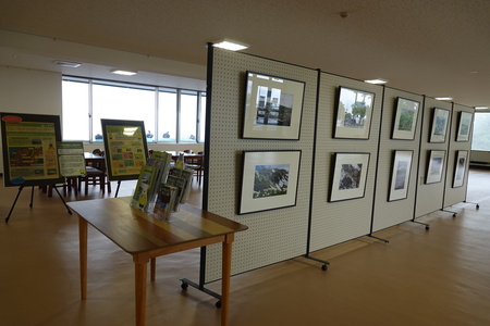 写真展 立山の夏