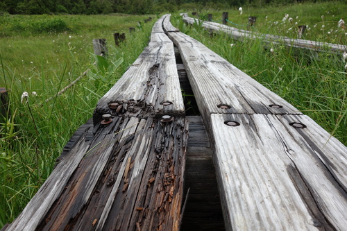 四十八池湿原の木道