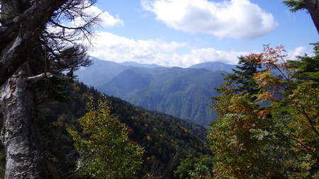 鳥甲山から焼額山を望む
