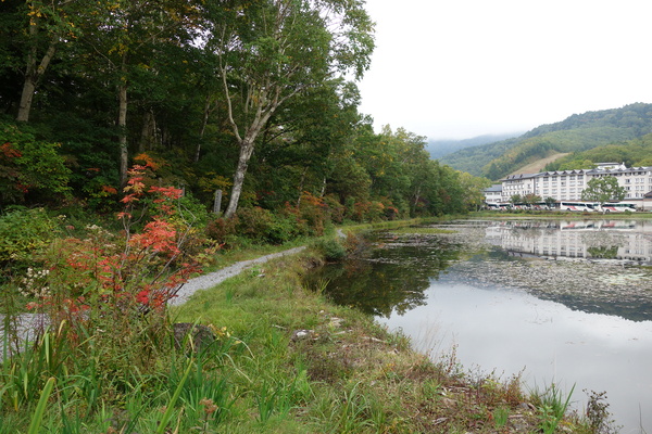蓮池を周遊する遊歩道