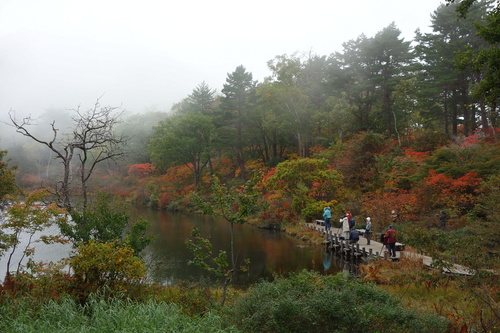一沼の紅葉が見頃