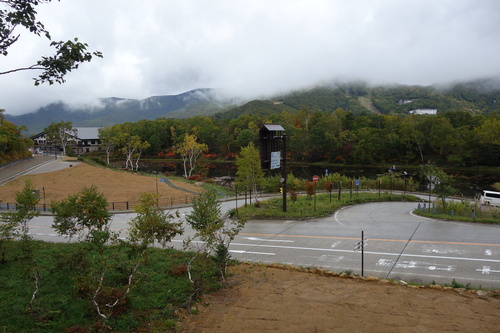 事務所から蓮池を望む