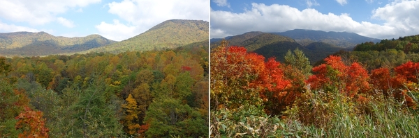 奥志賀付近の紅葉