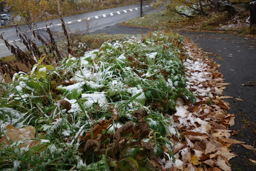 志賀高原管理官事務所の積雪