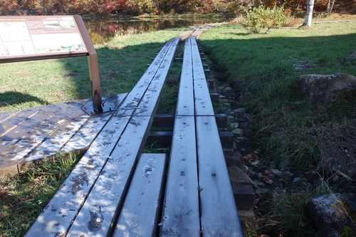 蓮池の木道の霜