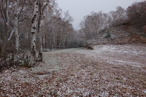 蓮池スキー場のゲレンデにうっすらと雪