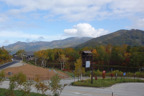 事務所から蓮池の紅葉を望む